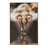картина lumina deco fp elephant 80-120 