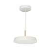подвесной светодиодный светильник arlight sp-elegant-r300-17w warm3000 033914(1) 